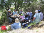 Highlight for Album: Garcia Ridge Brushing Party 5/27/06