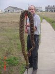 watch for rattlers this spring